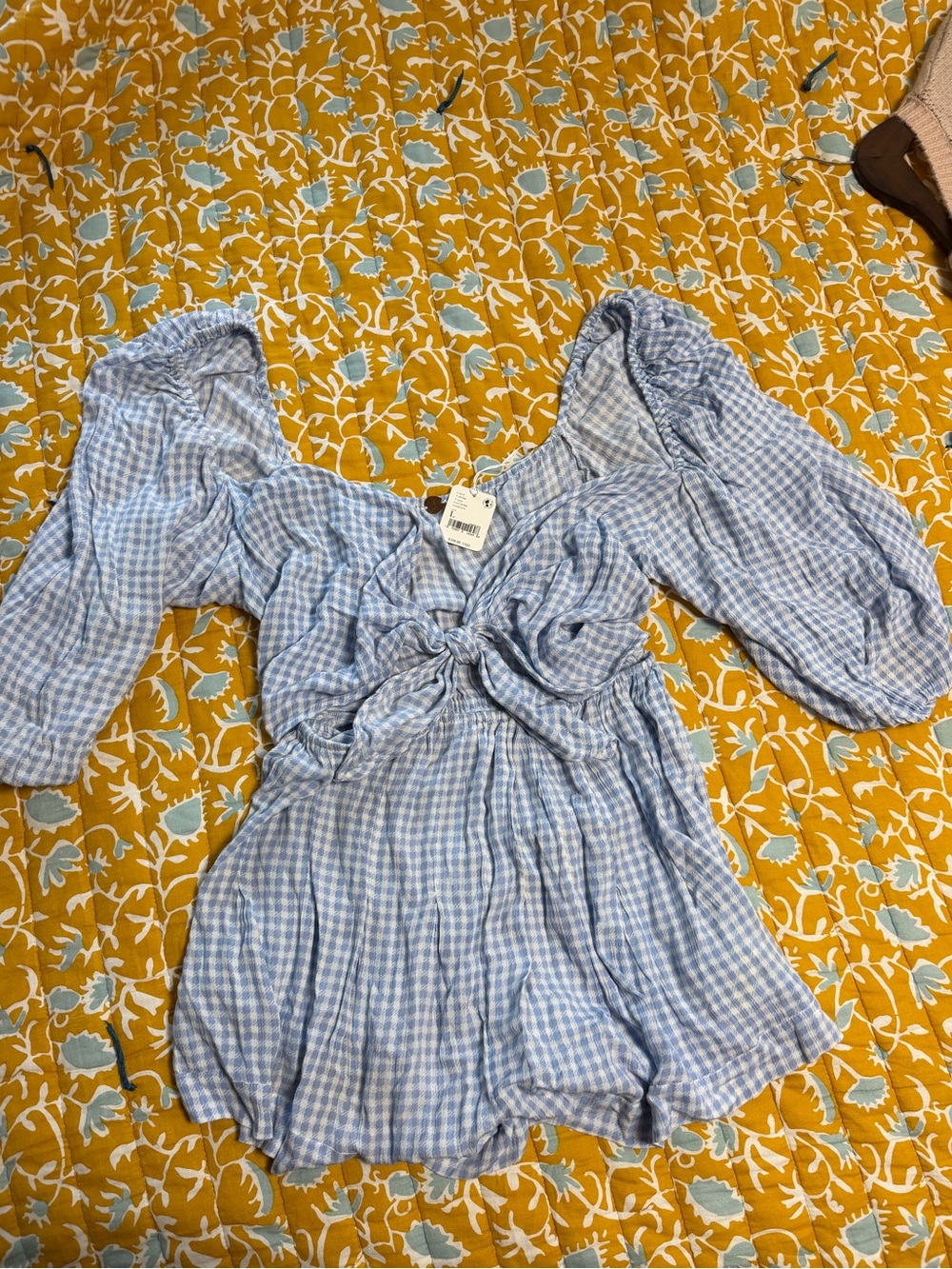 Free People Pale Blue Gingham Tie-Front Top